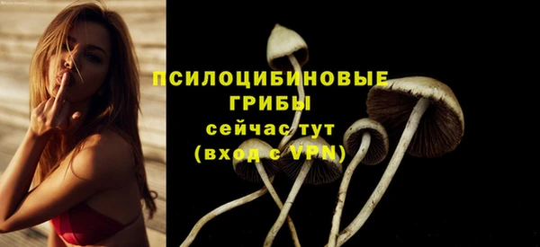 круглые Алексеевка