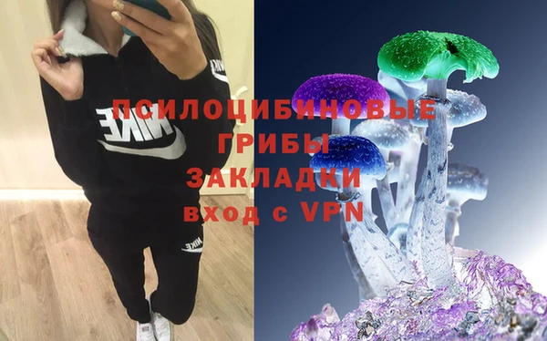 круглые Алексеевка