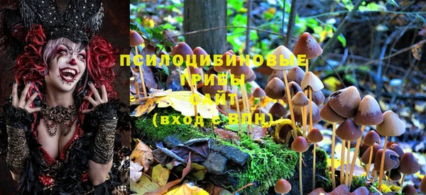 мет Алзамай