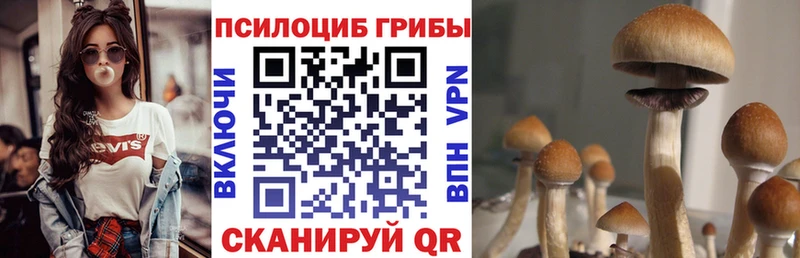 Псилоцибиновые грибы Cubensis  цены   Белоярский 
